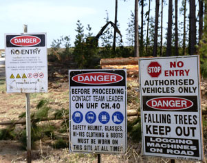 Fig. 1 Safety signage at entrance to forest